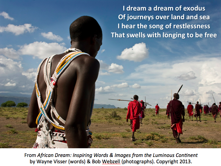 African Dream, 2010 Wayne Visser