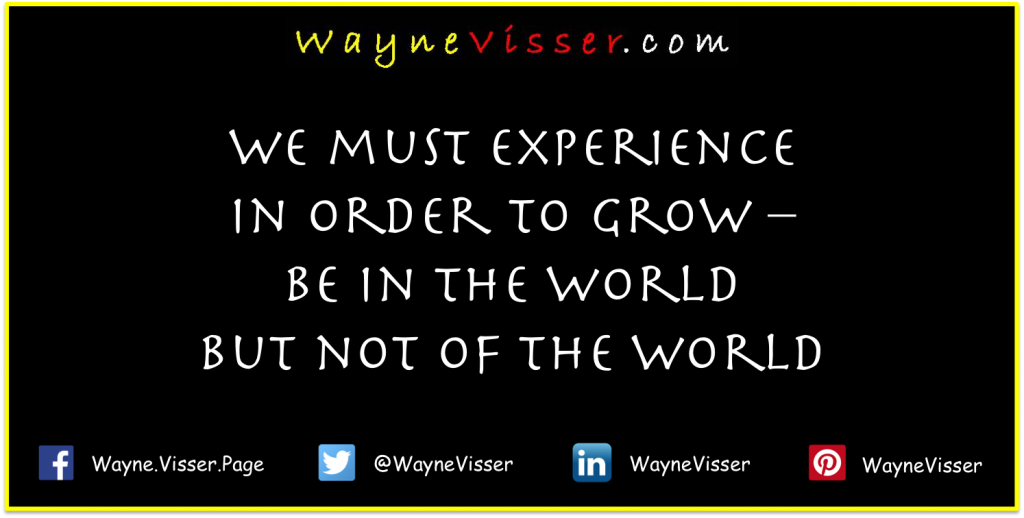 waynevisser_quote1