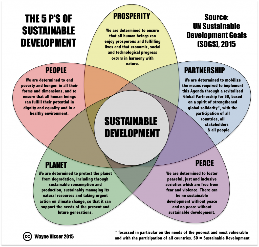 5 Ps of Sustainable Development, UN Sustainable Development Goals (SDGS), 2015
