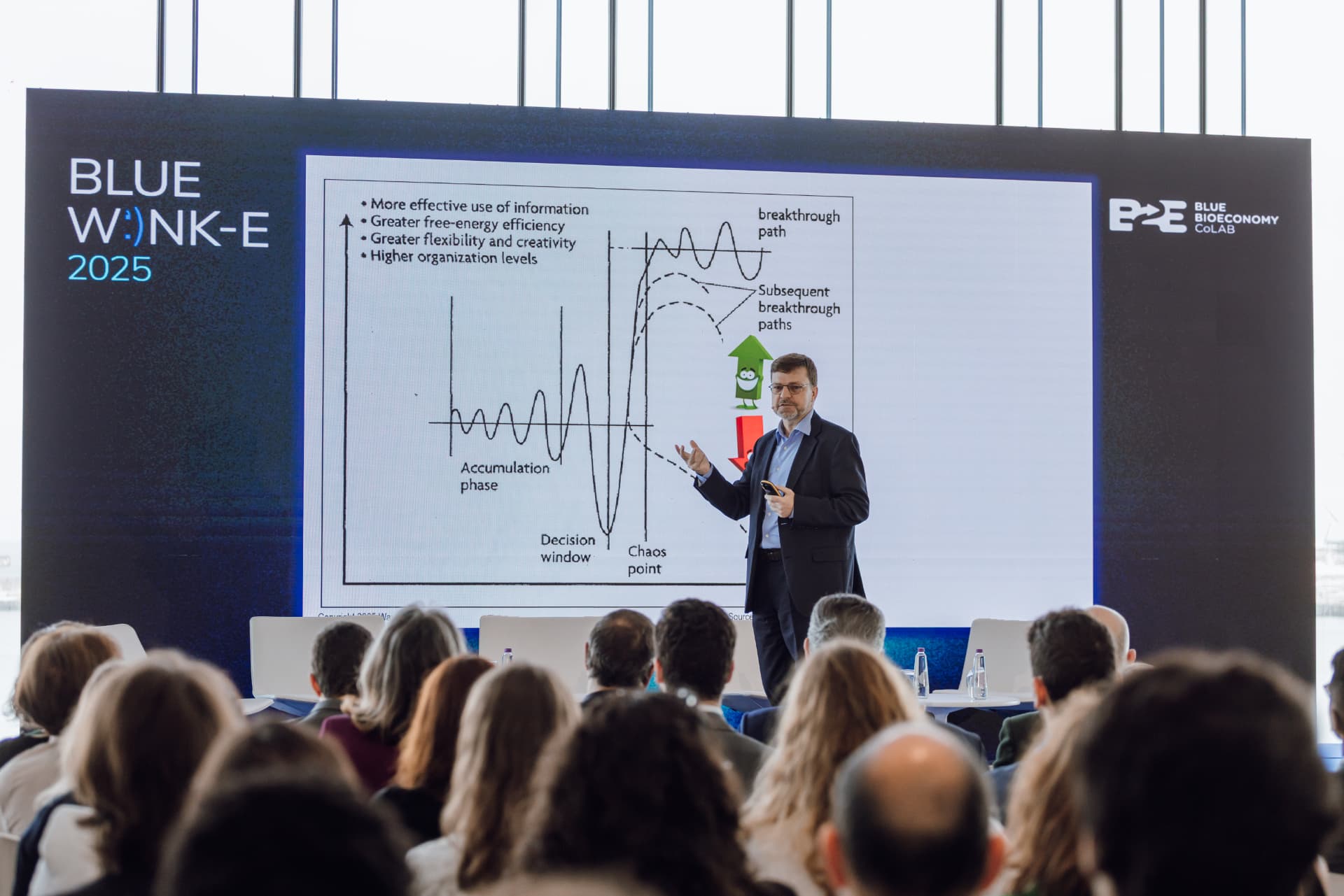 Wayne Visser presenting a breakthrough systems chart on stage at Blue Wink-E 2025