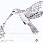 Hummingbird - Ink, 2010